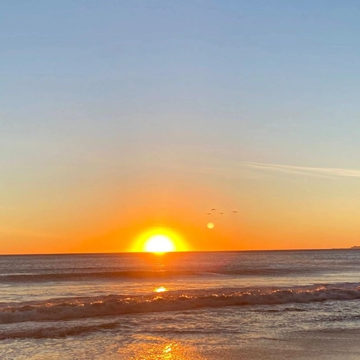 cartoon sunset aesthetic pfp