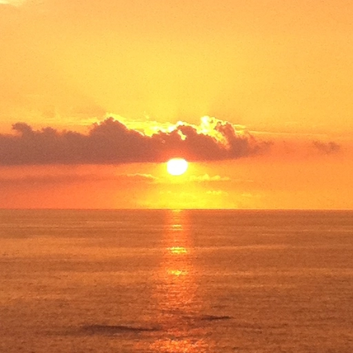 cool sunset aesthetic profile picture