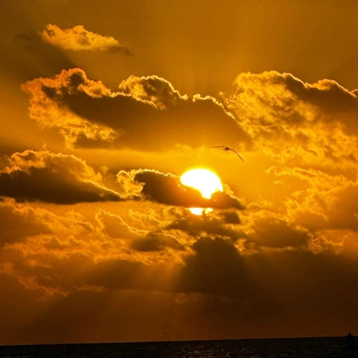 minimal sunset aesthetic pfp