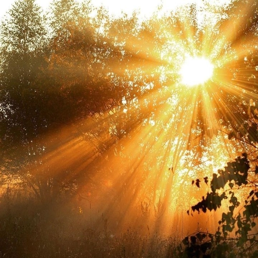 aesthetic anime sunset pfps