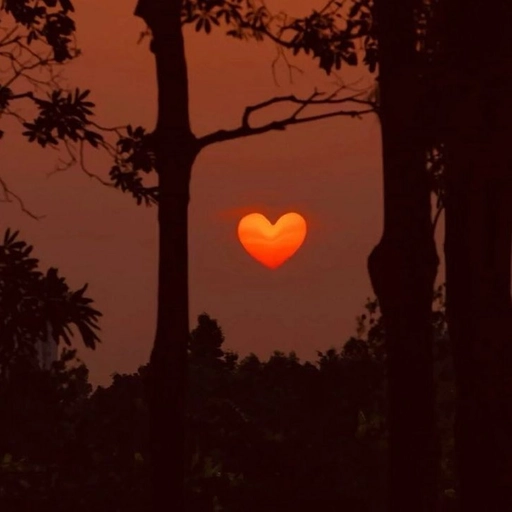 discord aesthetic pfp sunset