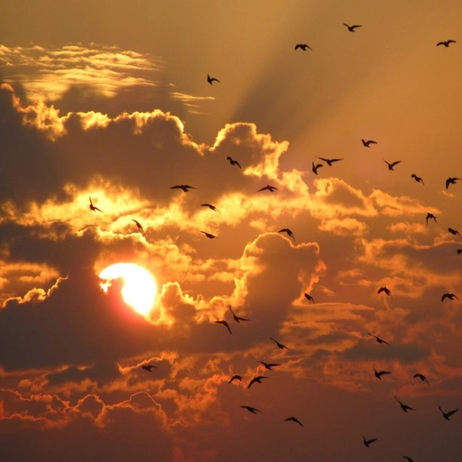 aesthetic pastel sunset pfp