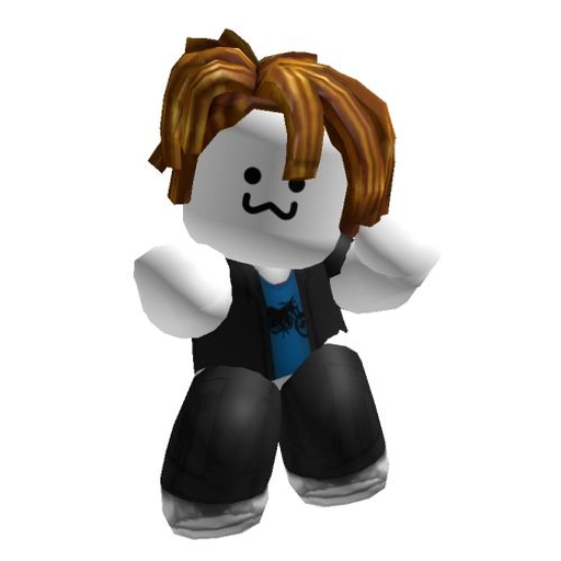 roblox bacon hair profile pic