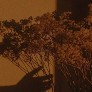 pfp aesthetic brown digital illustration