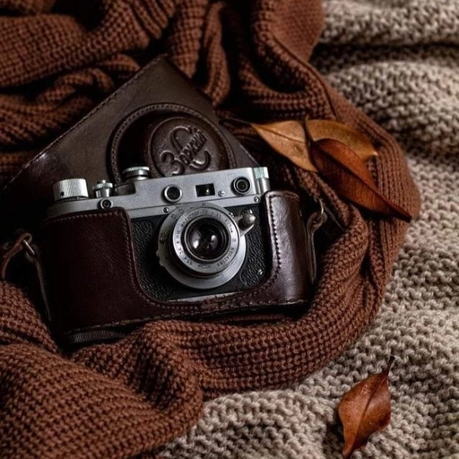 aesthetic brown pfp picture