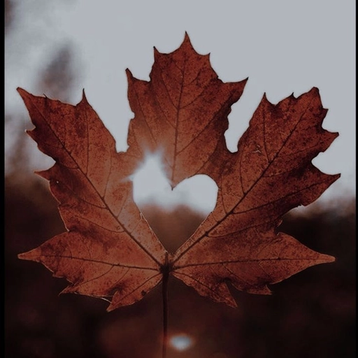 brown aesthetic profile pic