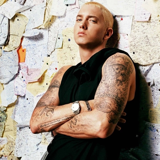 Eminem pfp with hoodie