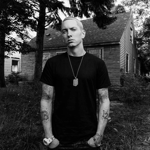 Cool Eminem black outfit pfp