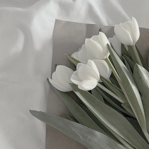 aesthetic grey pfp trendy