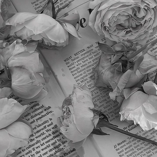 cool grey aesthetic pfp profile