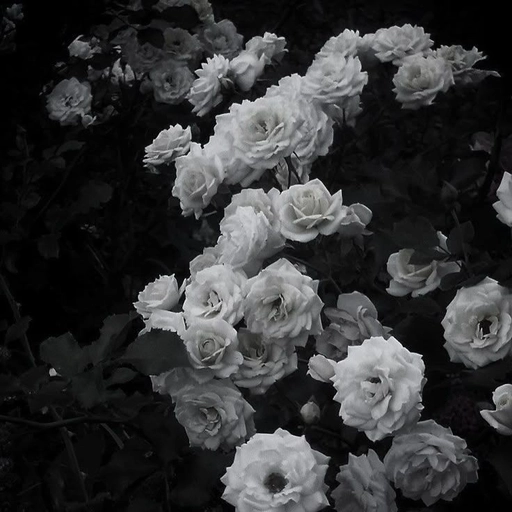 dark grey aesthetic pfp girl profile