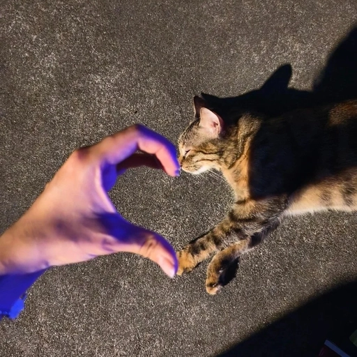 minimal pfp aesthetic heart icon