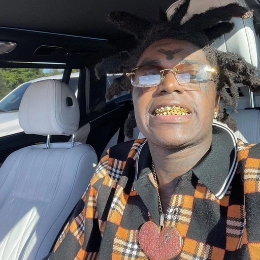 kodak pfp high quality