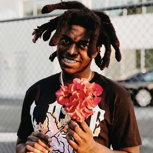 kodak black pfp pose