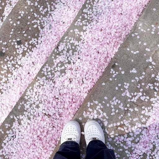 aesthetic korean pfp for profile