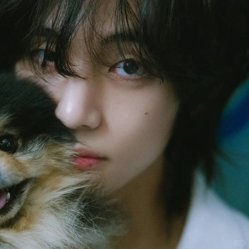 profile aesthetic kpop pfps