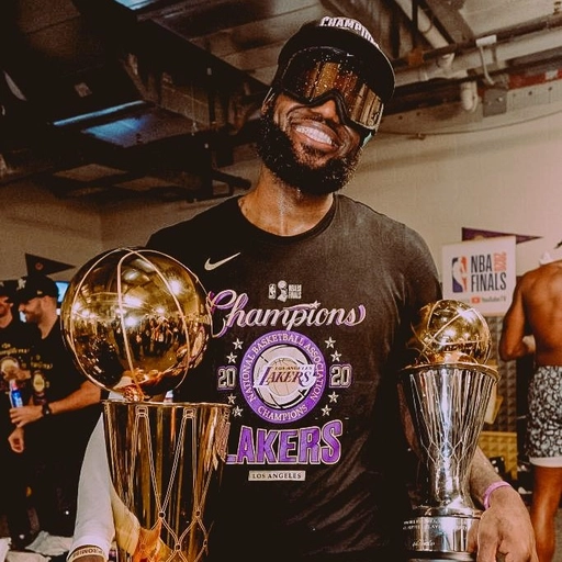 LeBron James PFP cute and funny