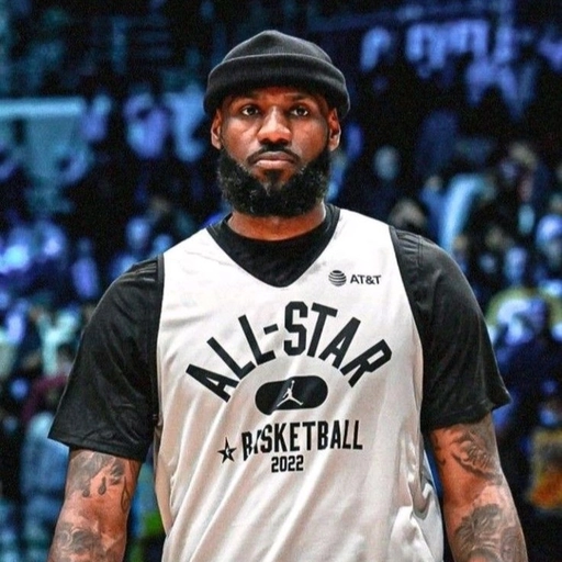LeBron James wallpaper PFP funny