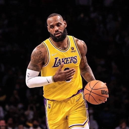 Pinterest LeBron James aesthetic PFP