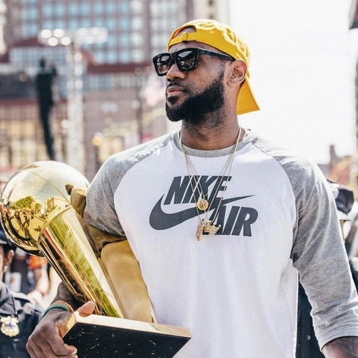 LeBron James PFP meme HD