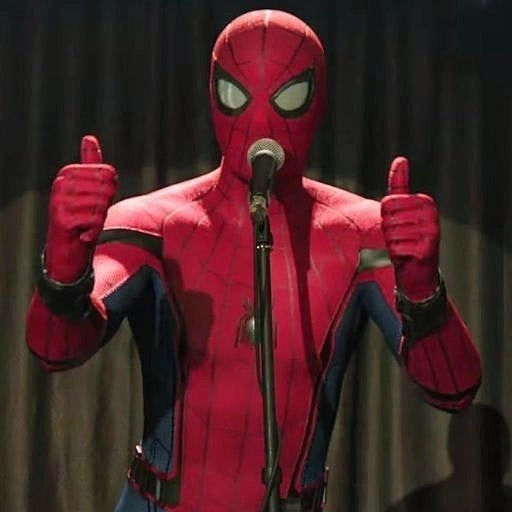 peter parker spider man pfp dynamic