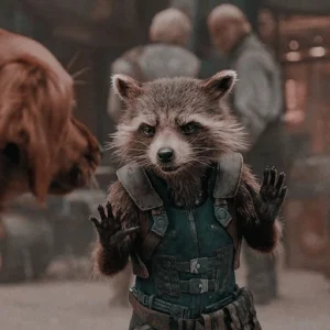 rocket raccoon hero pfp