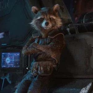 rocket raccoon pfp funny