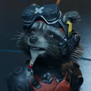 rocket raccoon profile picture fun
