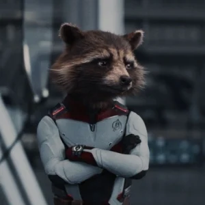 rocket raccoon pfp cartoonish