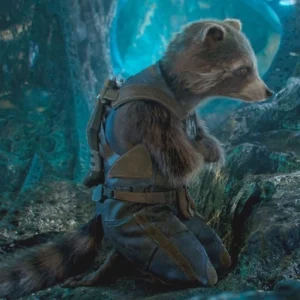 rocket raccoon funny pfp