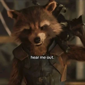 rocket raccoon cute pfp