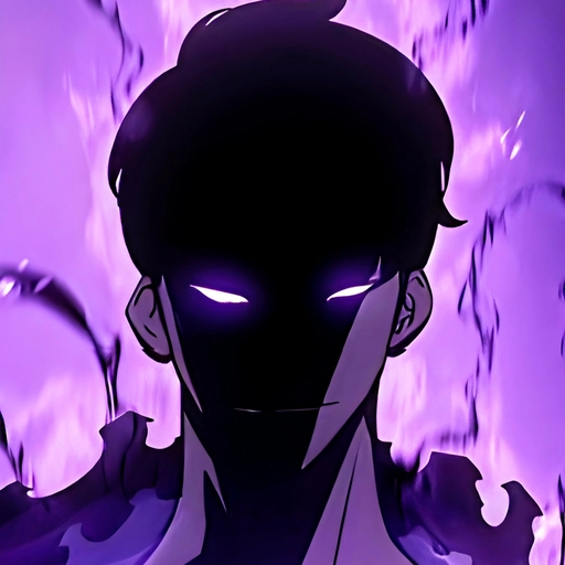 solo leveling fun pfp