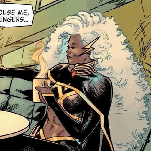 storm profile picture hd