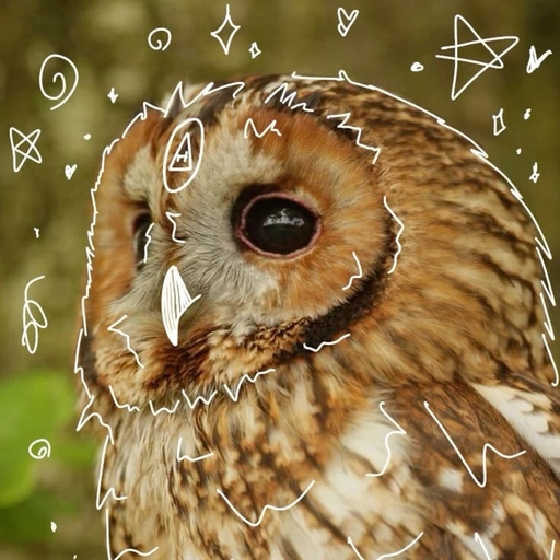 therian pfp wallpaper