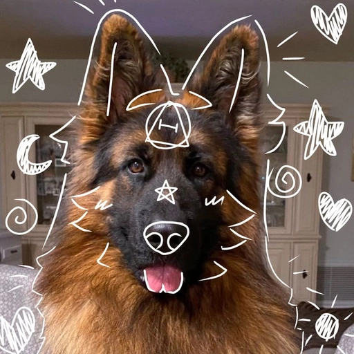 black wolf therian pfp dark vibe