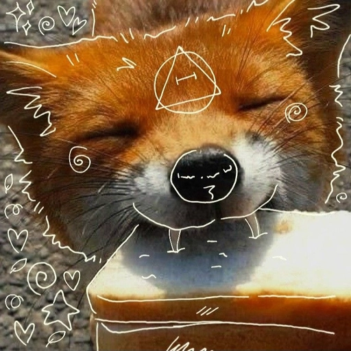 cute therian pfp fox style