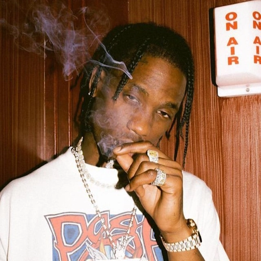 pfp travis scott