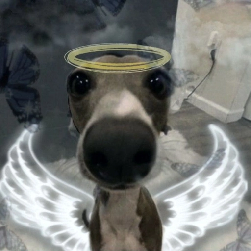 veshremy profile picture hd