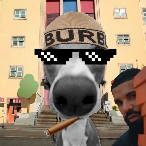 veshremy social media pfp