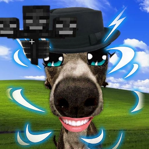 veshremy profile picture