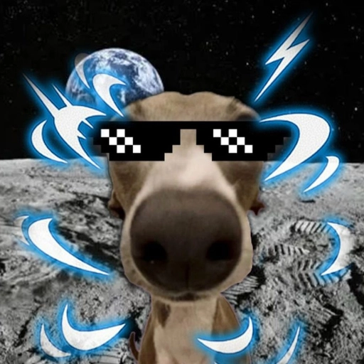 veshremy cute dog pfp