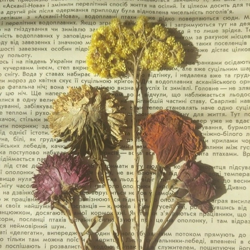 vintage aesthetic pfp