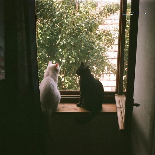 vintage aesthetic minimal pfp