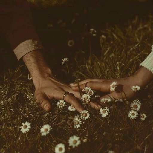 vintage aesthetic soft colors pfp