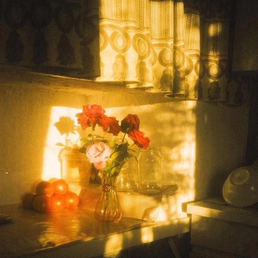 vintage aesthetic cool pfp