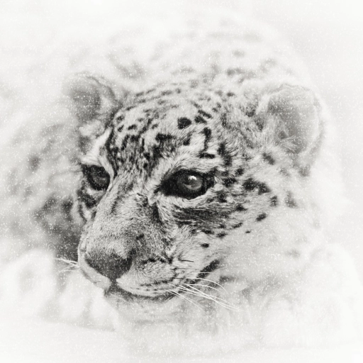 modern instagram white pfp