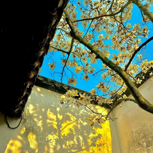 aesthetic yellow pfp trendy TikTok