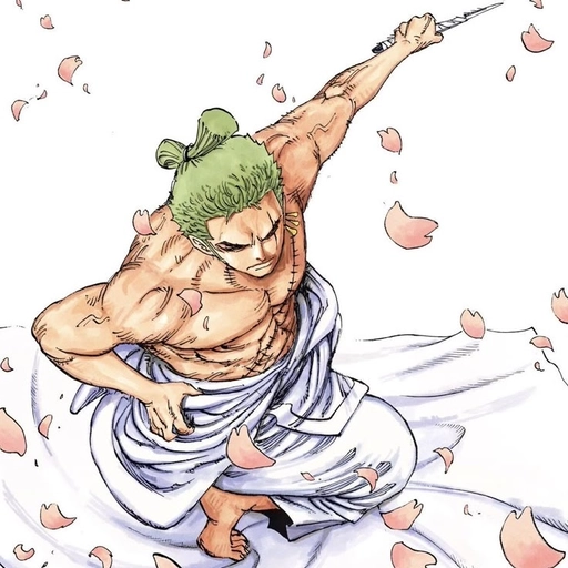 zoro pfp aesthetic vibe