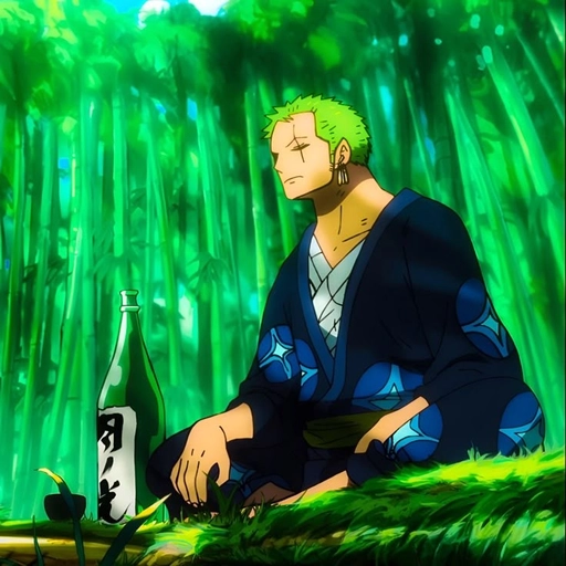pfp zoro manga