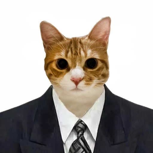 cute and funny cat pfp yawning